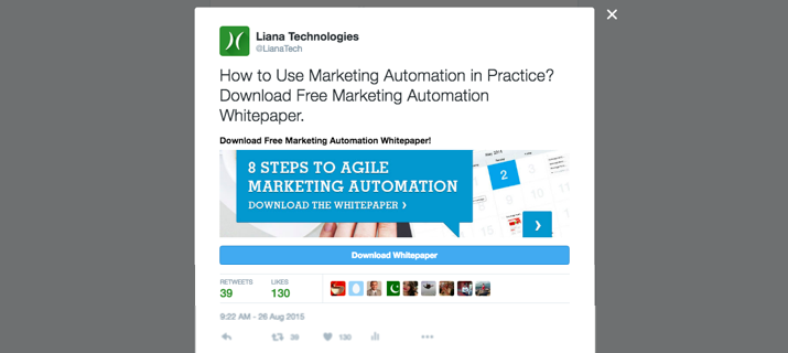 Sammeln von Leads für Marketing Automationen mit Twitter Lead Cards